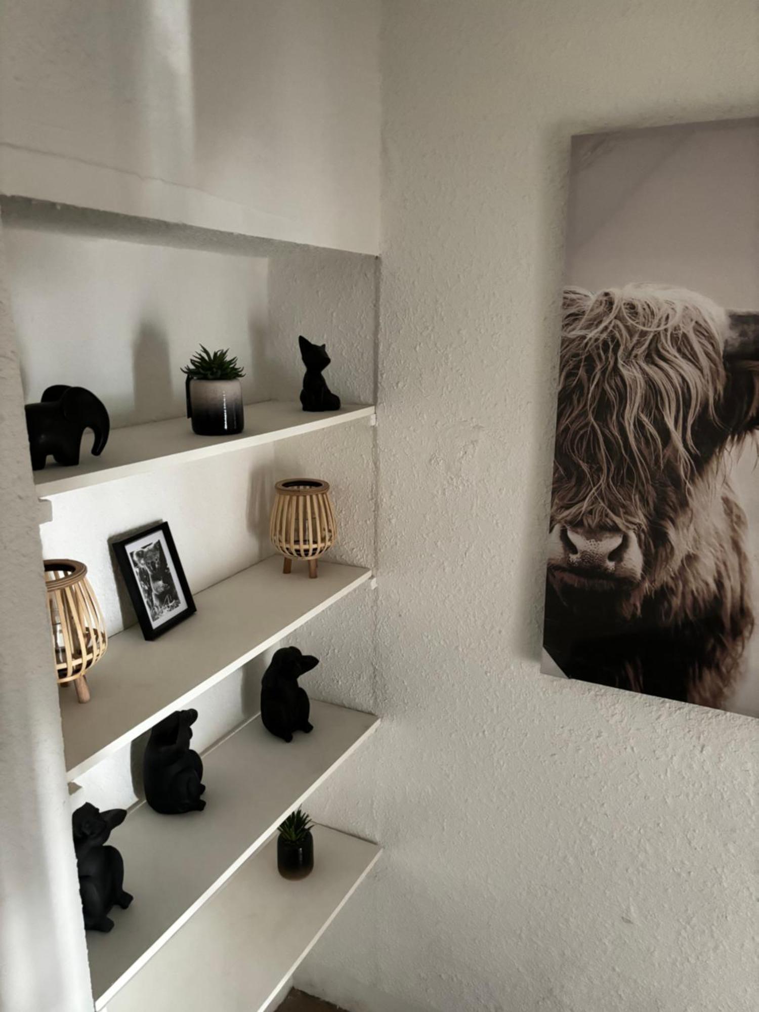 Le Duplex Safari Lejlighed Saint-Aignan  Eksteriør billede