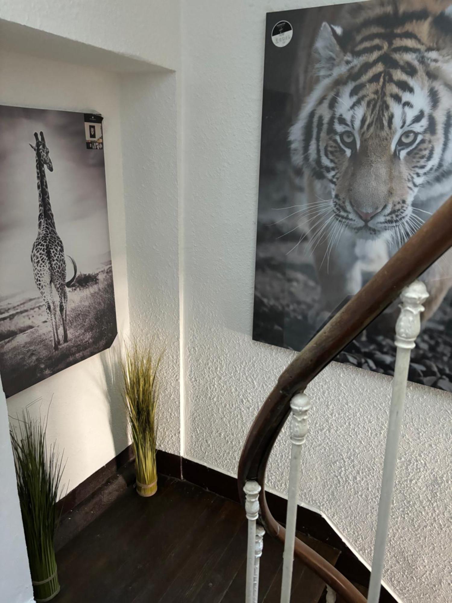 Le Duplex Safari Lejlighed Saint-Aignan  Eksteriør billede