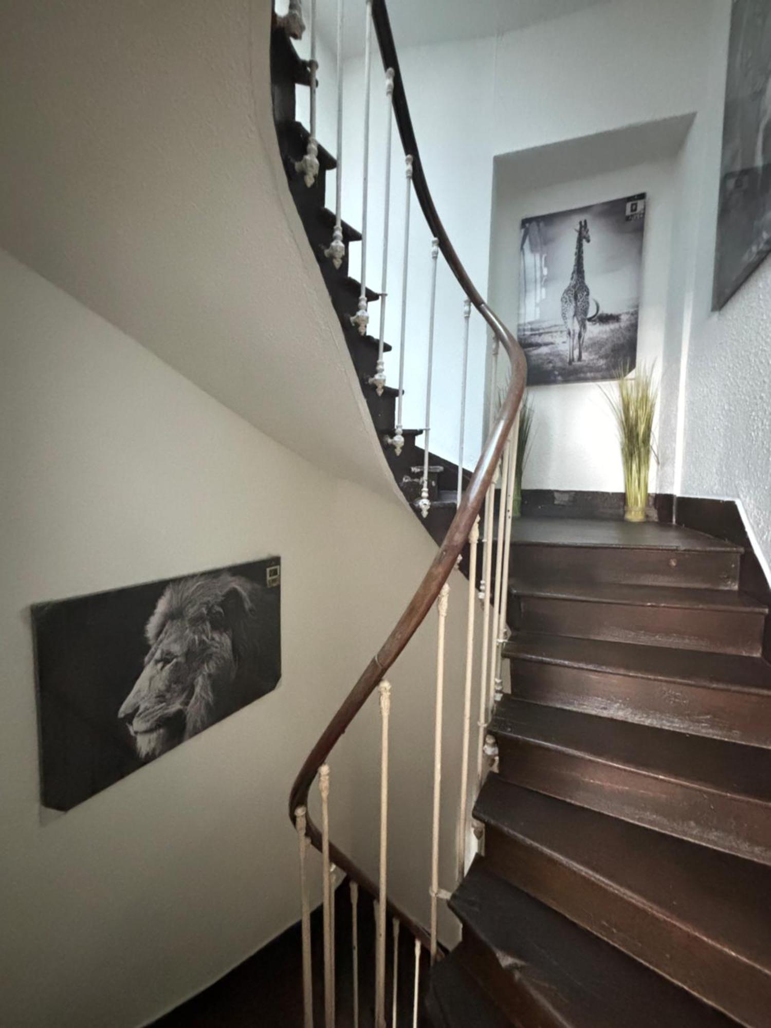 Le Duplex Safari Lejlighed Saint-Aignan  Eksteriør billede